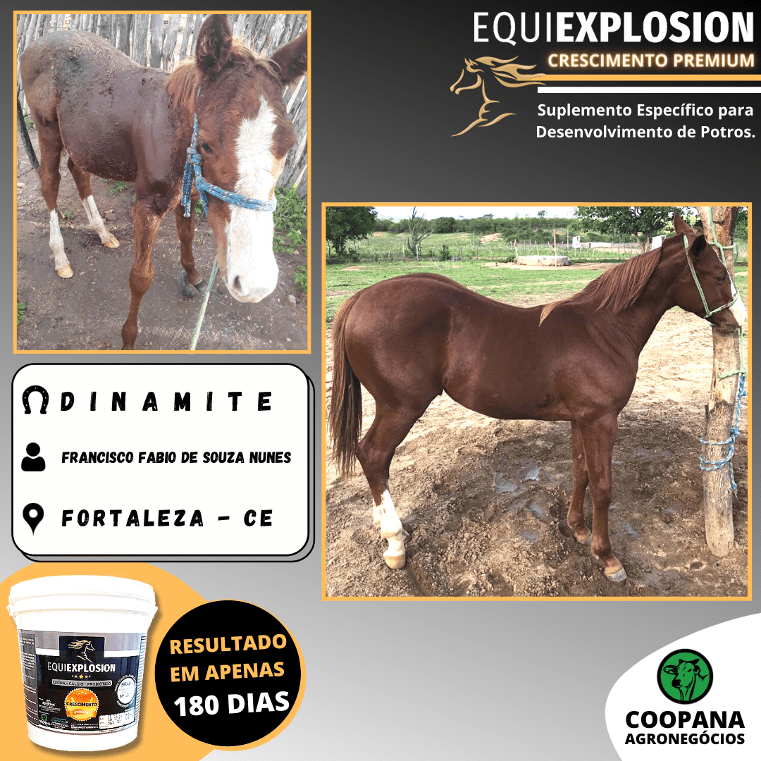 Equiexplosion Crescimento Premium 3kg - Imagem 4